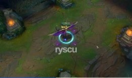 巴西老哥爆料视频最新,最新爆料视频背后的惊人真相