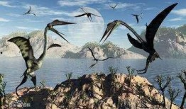 风神翼龙爆料了吗视频讲解,视频讲解带你领略古生物魅力